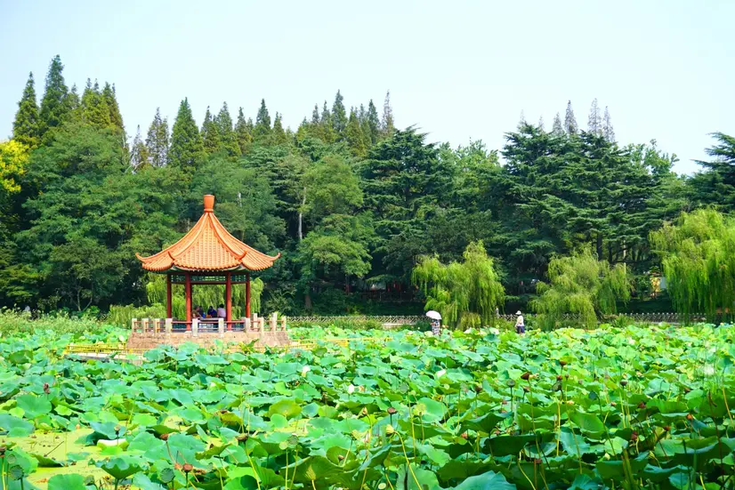 Untuk orang yang suka taman wista alam